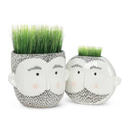 Ceramic planters shaped like bearded male faces with green grass-like plants growing on top for hair effect.