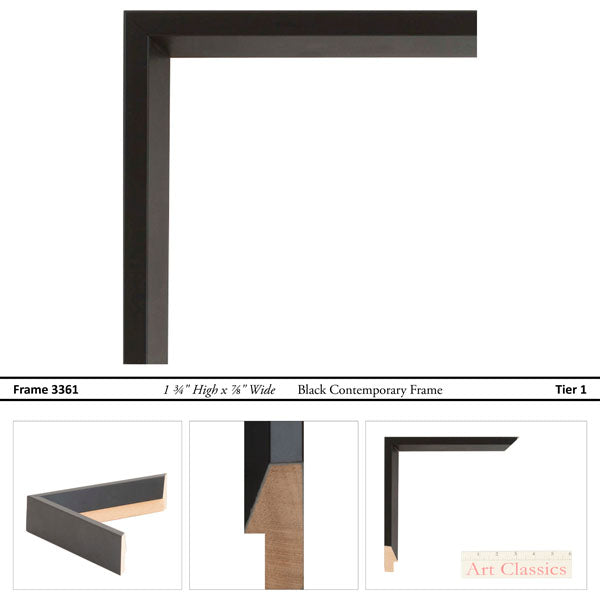 Birds of a Feather Framed Art