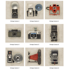 Vintage Camera Acrylic Prints