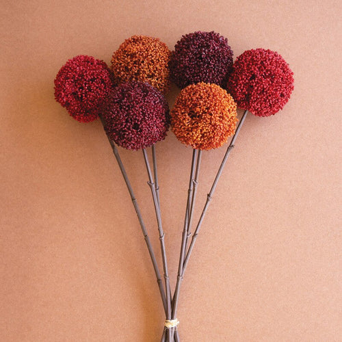 Dried decorative allium flowers in warm red, orange, and burgundy shades with slender brown stems on a neutral background
