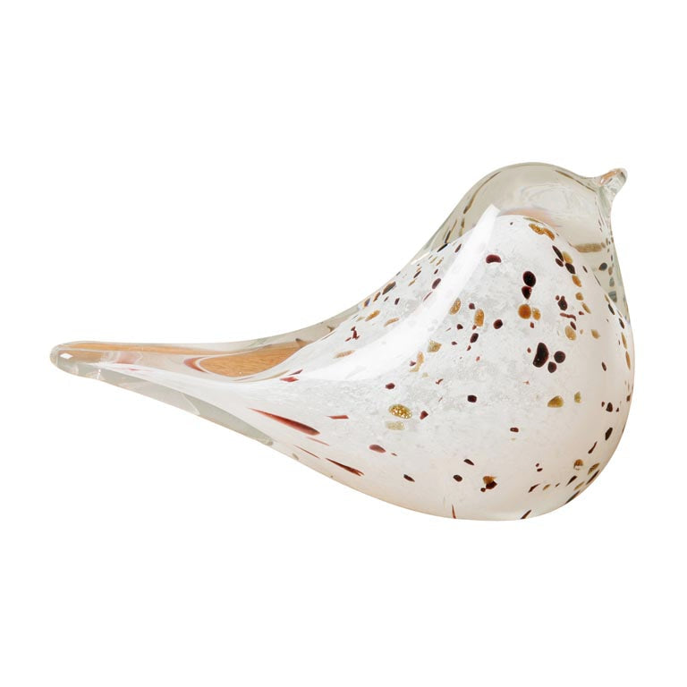 Flecked White Bird