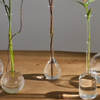 Three clear glass teardrop-shaped vases with transparent stems, each holding water and a plant stem, arranged on a wooden tabletop against a neutral gray background.
