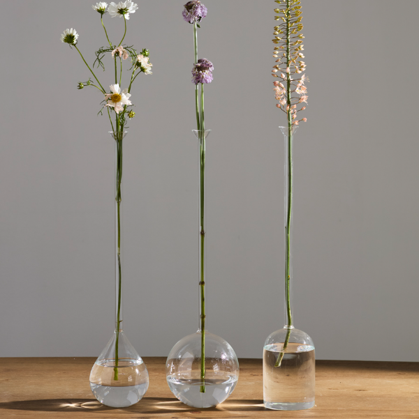 Three clear glass vase-style flower holders with long stems of dried flowers, arranged on a wooden surface against a plain gray wall.