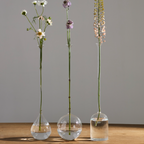 Three clear glass vase-style flower holders with long stems of dried flowers, arranged on a wooden surface against a plain gray wall.