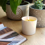 Lit white candle on wooden table beside potted plants and an open book, creating cozy home decor ambiance