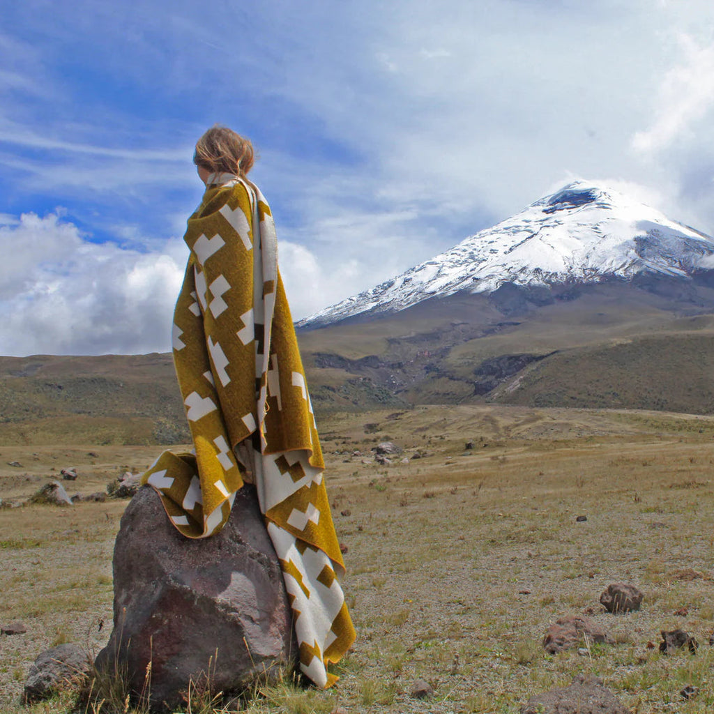 Alpaca Blankets