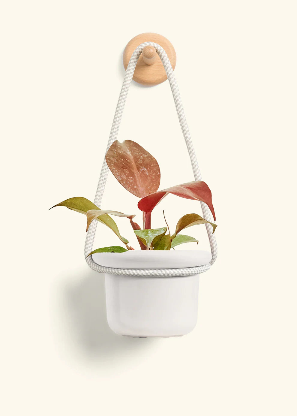 Wall Mount + Fat Lip Rope in Sandstone + Planter