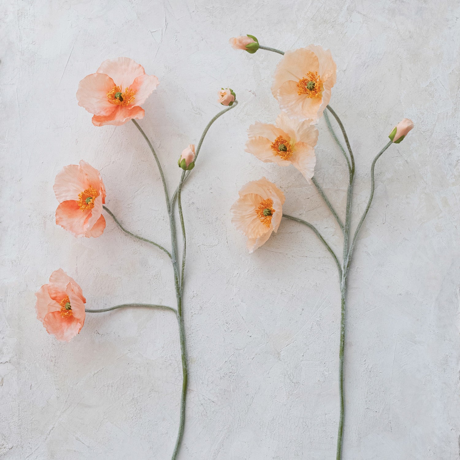 coral poppies on thin green stems against a light gray background