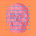 A stylized pink skull centered on a bright orange background, overlaid with a grid of light blue dots. 