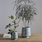 Two glazed ceramic planters with a light blue and white textured pattern, one small and one large, holding green plants on a wooden table against a neutral gray background.