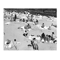 Vintage Beach Print