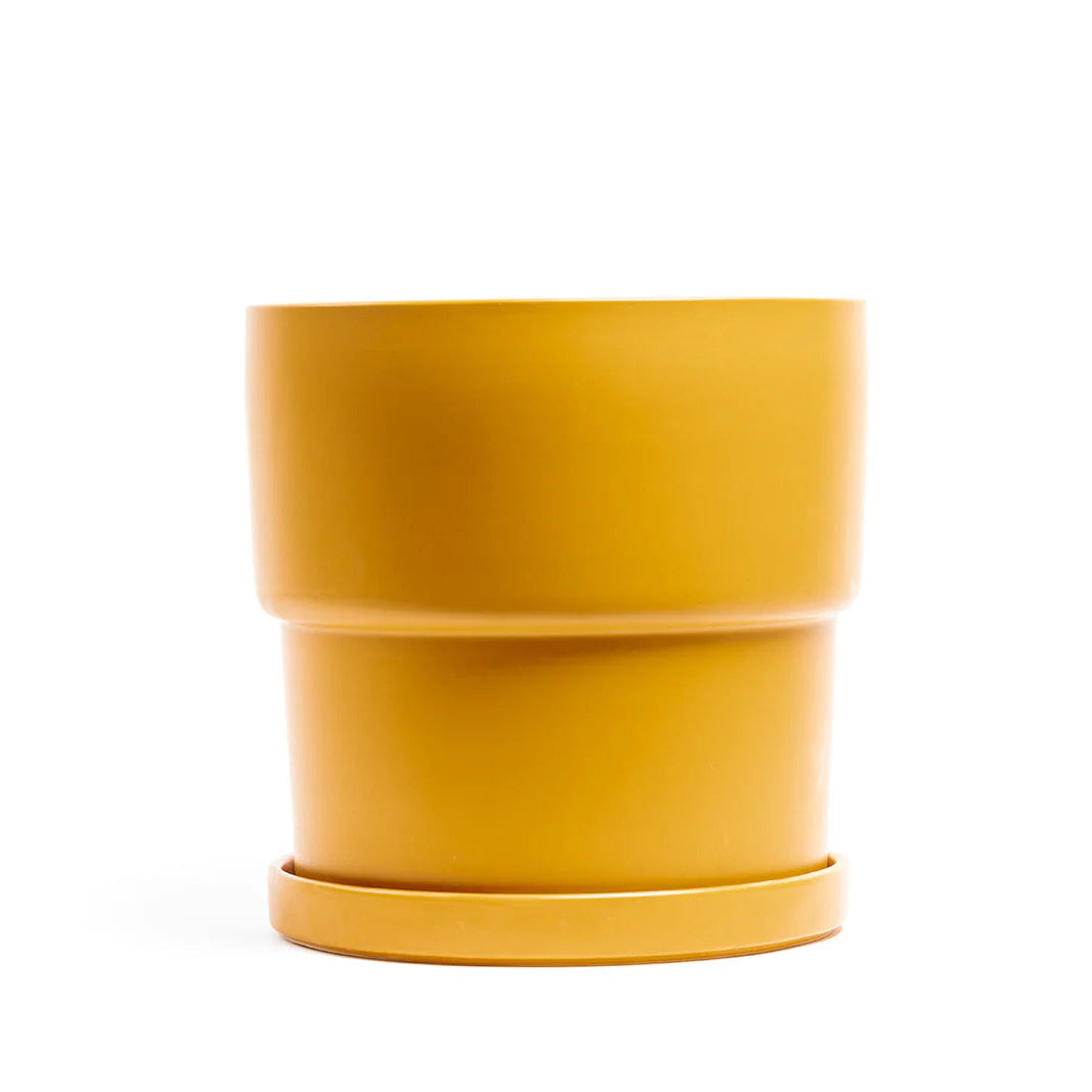 Mustard pot on a white background
