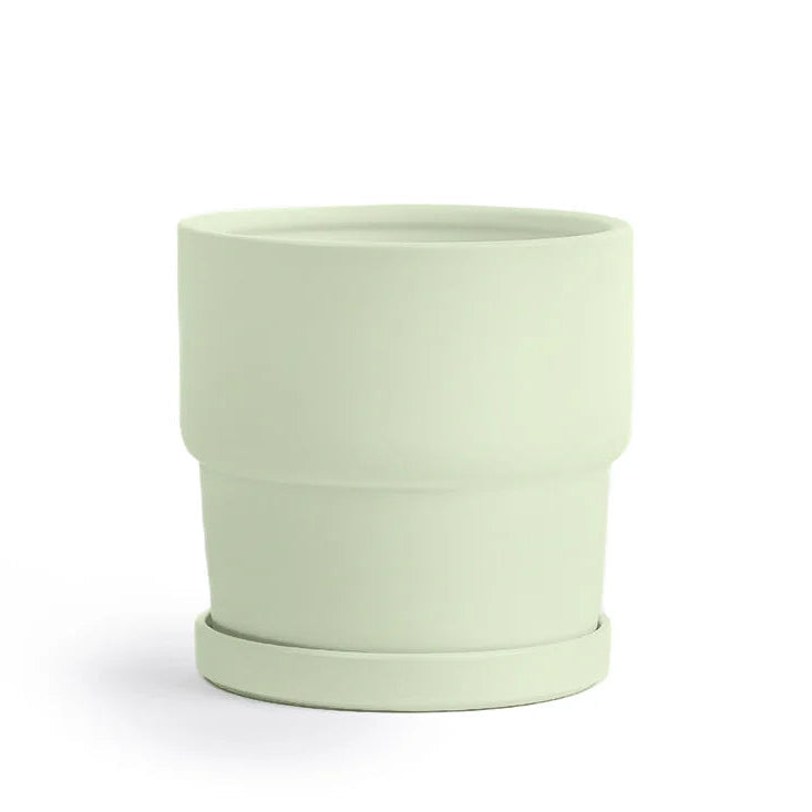 Sage green ceramic planter on a white background