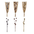 Dried Natural Thistle Bunch