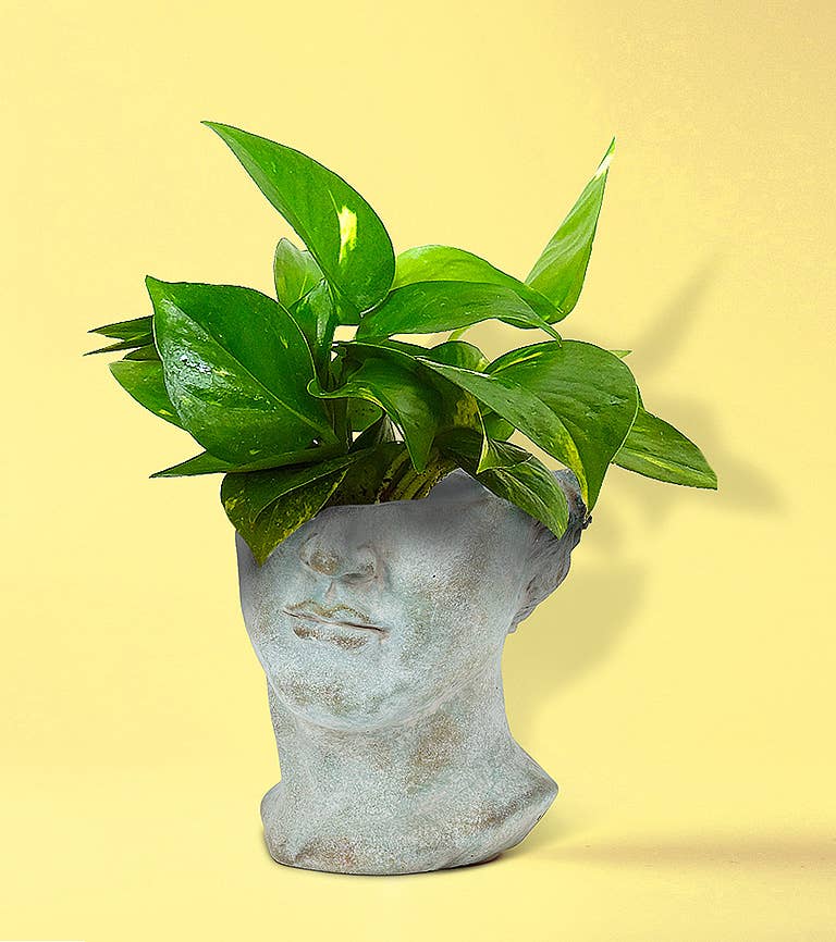Greek Planter
