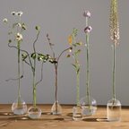 Six clear glass bud vases of different shapes and sizes arranged on a wooden table against a neutral gray wall, each holding a different dried or fresh flower stem.