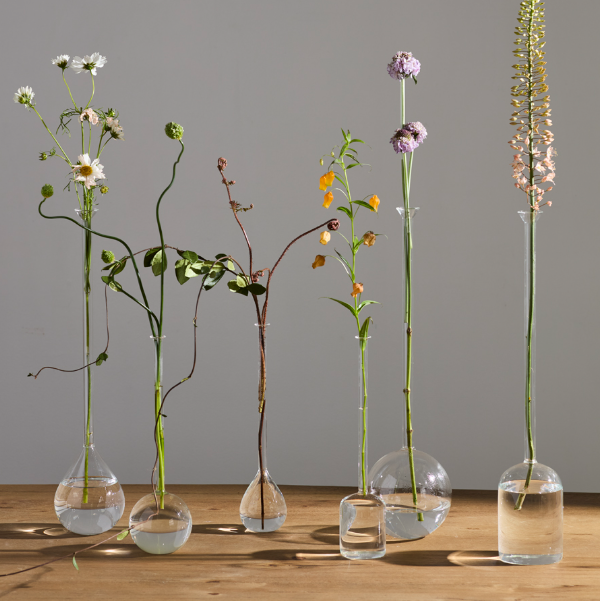 Six clear glass bud vases of different shapes and sizes arranged on a wooden table against a neutral gray wall, each holding a different dried or fresh flower stem.