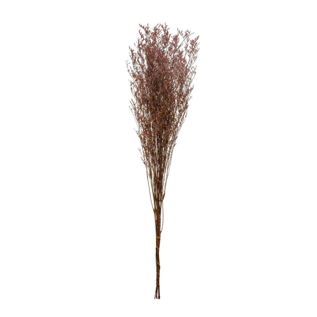 Bouquet of dried lavender grasses on a white background