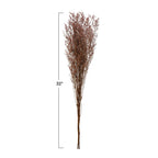 Dried flower arrangement with measurement label on a white background