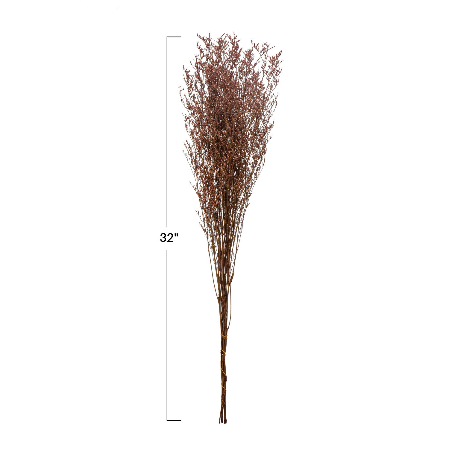 Dried flower arrangement with measurement label on a white background