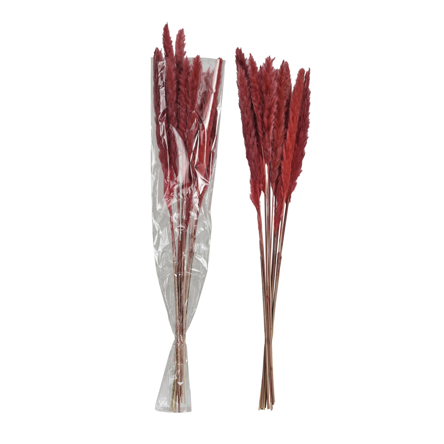 Bouquet of purple dried flowers with a clear plastic wrap on a white background