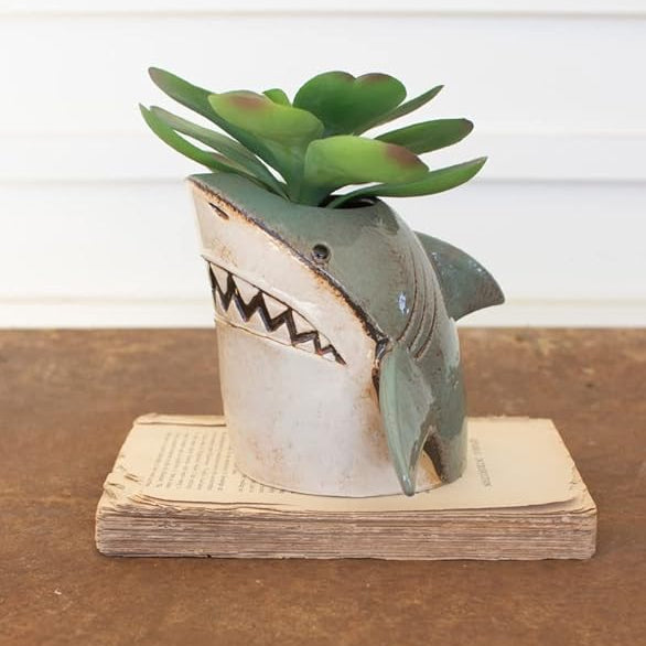 Shark-shaped planter with succulents on a wooden base against a white wall.